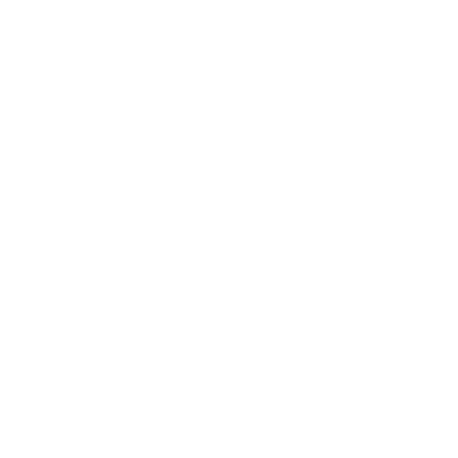 lamiz