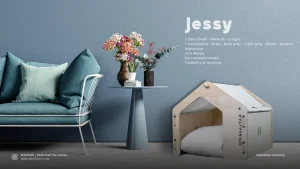 همکاری مهساین با کایلا رایا