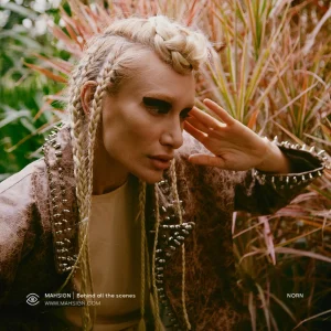 همکاری مهساین با پروژه نورن