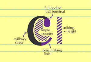 24typography-art-articleLarge-v2