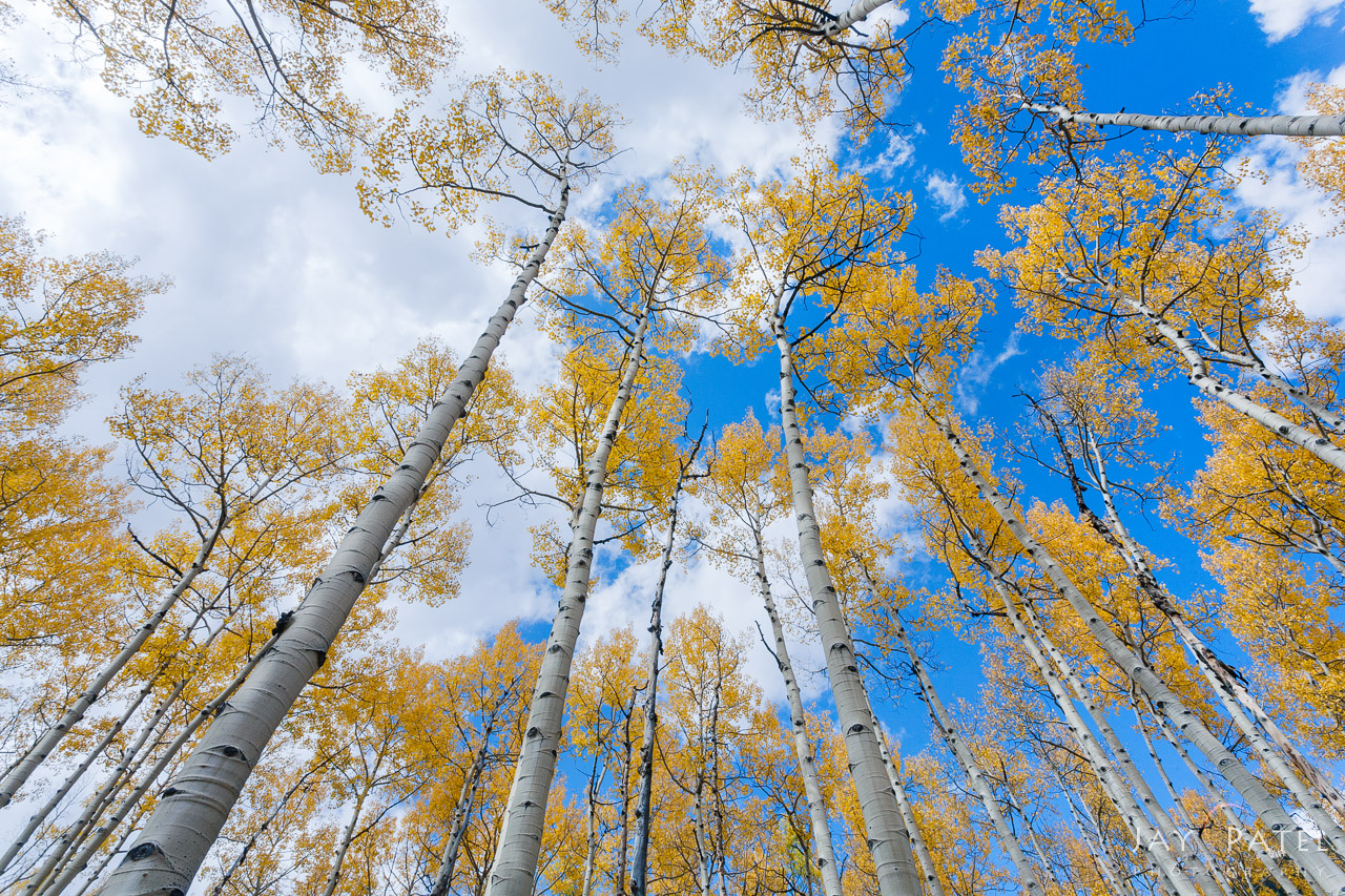Snowmass Wilderness, Colorado (CO), USA