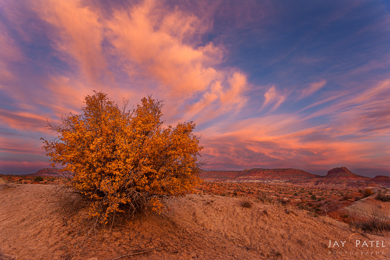 Paria Townsite, Grand Staircase-Escalante, Utah (UT), USA