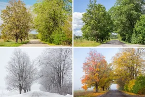 asahi_pentax_s3_with_film_jpg