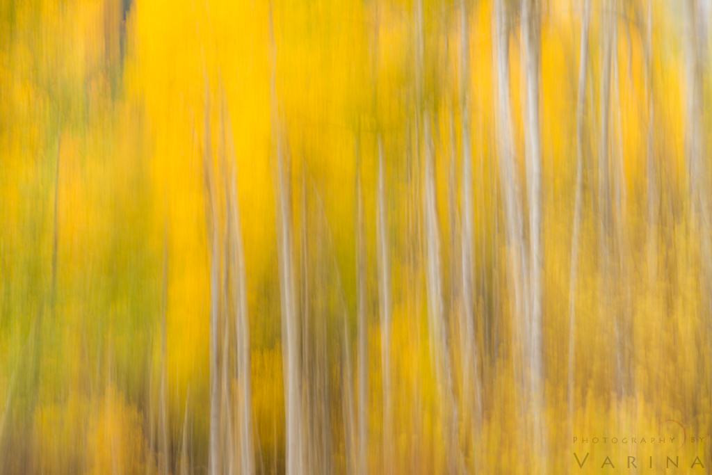 Colorado, USA