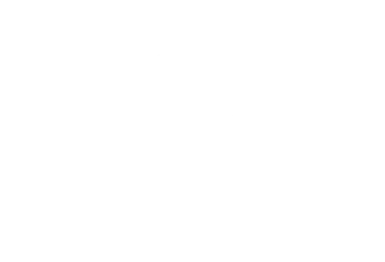 lanza logo