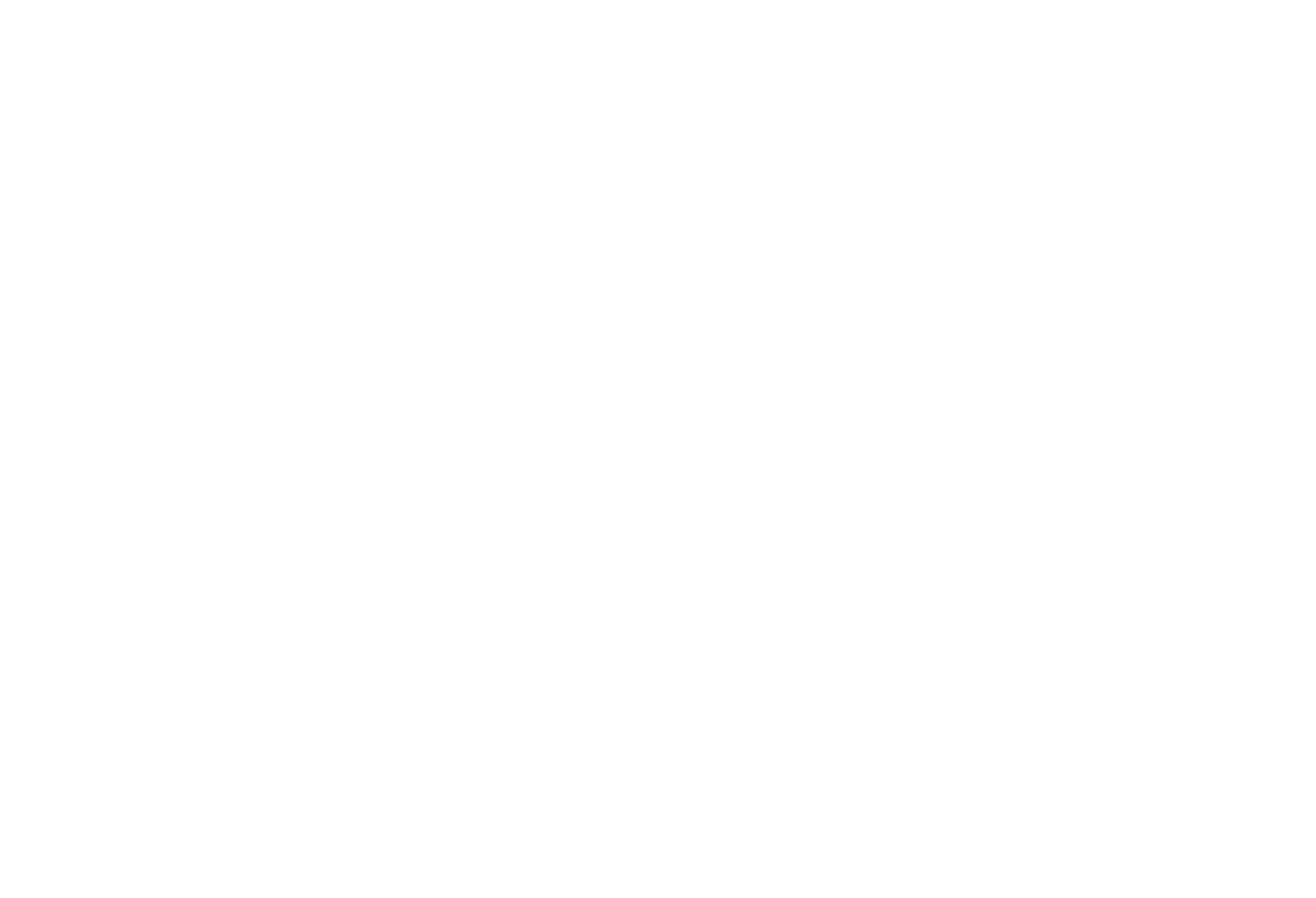 lanza logo